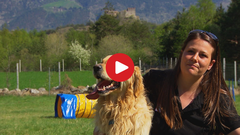 In Alto Adige col cane