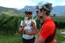 Gita guidata in bici a Termeno