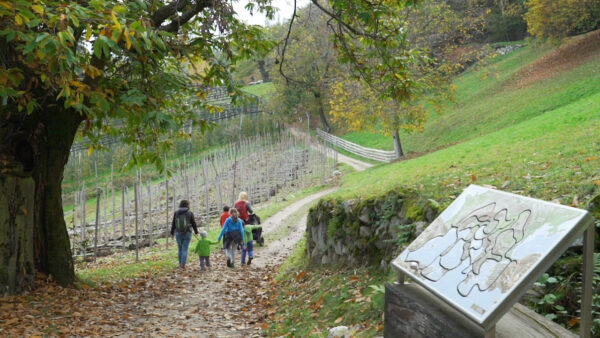 Sentiero sul Castagno di Foiana