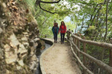 Marlinger Waalweg