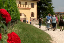 La &#8220;Passeggiata del Gewürztraminer&#8221;