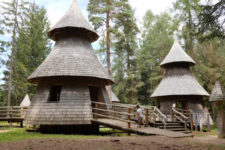 Sorgenti della Drava, Mondo Foresta