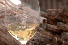 La Strada del Gewürztraminer