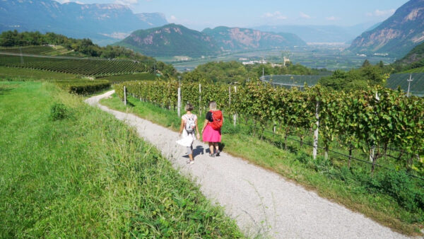 Wandertipp: Blauburgunderweg