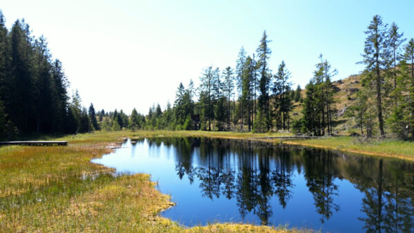 Kraftort Schwarzsee