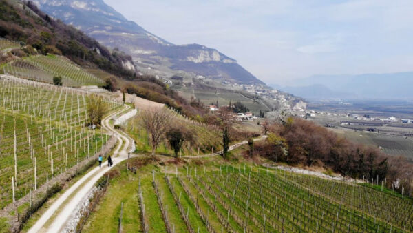 Escursione Primaverile a Magrè
