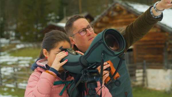 Wildlifewatching