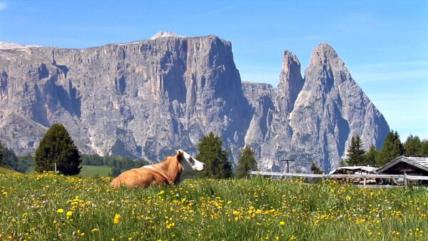 Siusi allo Sciliar