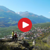 Lungo le rogge Ilswaal e Zaalwaal