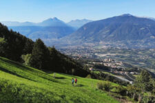 Scena’s Farm Trail