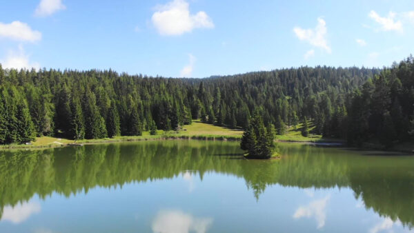 Il lago di Tret in estate