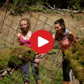 Hiking tip: LandArt Trail in Falzes