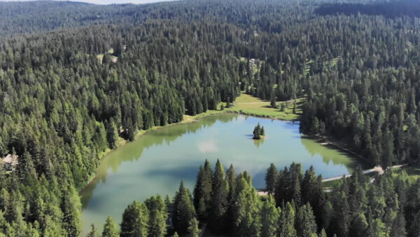 Der Felixer Weiher