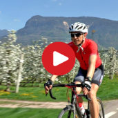 Cycling on the southern Wine Road