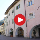 Laubengeschichten: Neumarkt