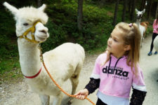 Trekking con Lama e Alpaca