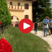 Gewürztraminer Weinwandertag