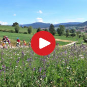 Val di Non