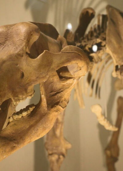 Museen
