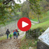 Kastanienerlebnisweg Völlan