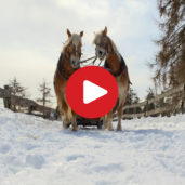 Winter in Jenesien