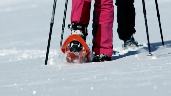 Inverno Attivo in Alto Adige