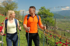 Sensazioni di primavera a Termeno