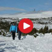 The Corno del Renon Panorama Tour