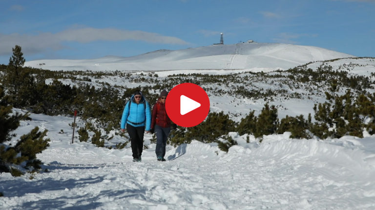 The Corno del Renon Panorama Tour