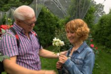 Nalles, the Rose Village