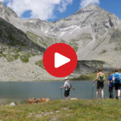 Al Lago Ponte di Ghiaccio
