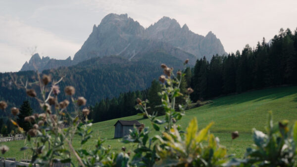 Alla Scoperta di Sesto Pusteria