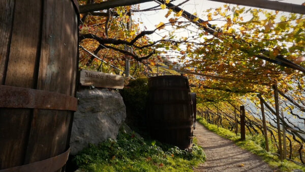 Autunno a Lagundo