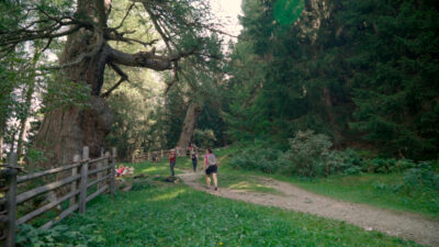 A Day in the Ulten Valley