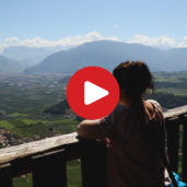 A day in Appiano