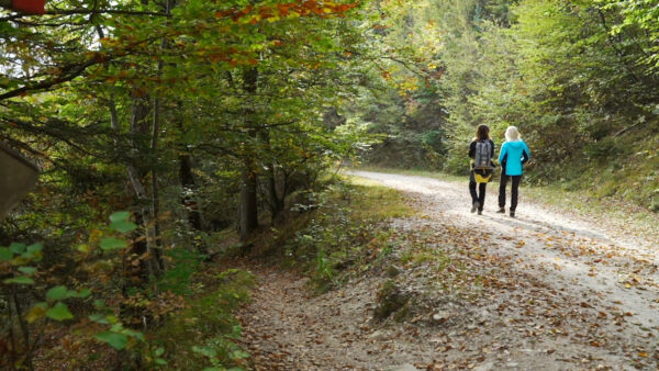 Caldaro High Route