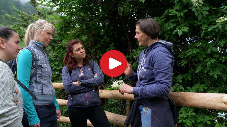 Herbal Guided Tour in San Leonardo