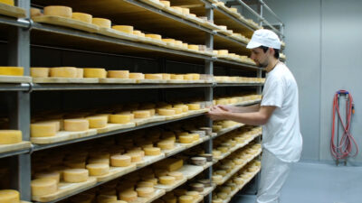 Cheese from the Aurina Valley