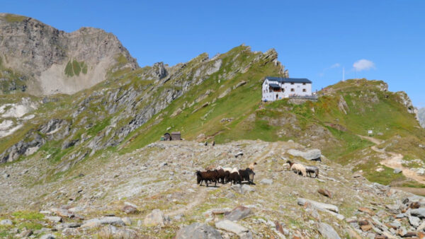 Wandertipp: Lenkjöchl