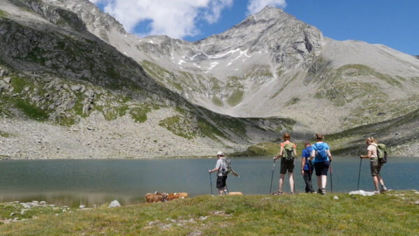 Wandertipp: Eisbruggsee