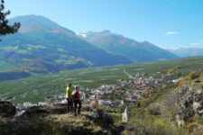 Hiking tip: Ilswaal and Zaalwaal paths