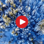 Magia d‘inverno a Trodena