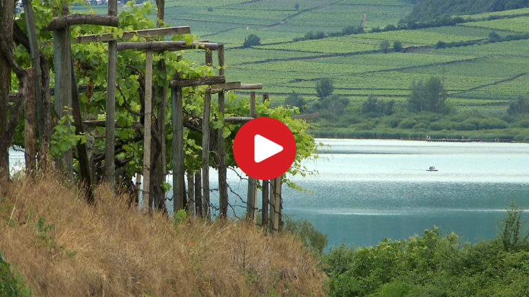Caldaro sulla Strada del Vino