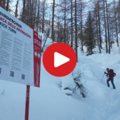 Sentiero didattico di sci alpinismo a Sesto