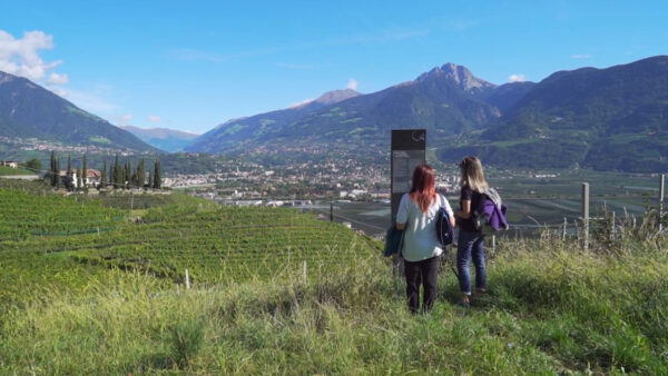 The Viniculture Trail of Marlengo