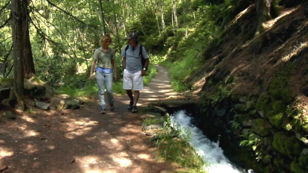Waalweg paths in Val Venosta