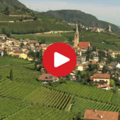 Termeno on the Wine Road