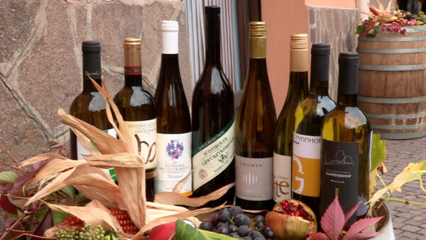 Termeno Wine Lane Festival