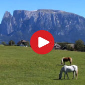 Ritten