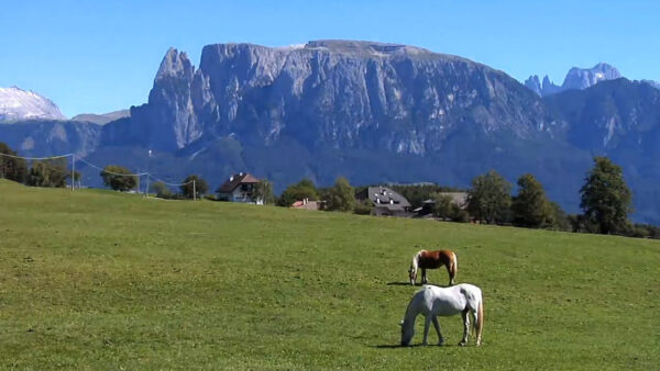 Ritten
